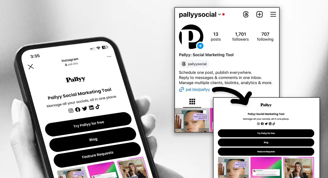 Link in bio in Pallyy
